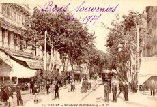 tl1.jpg (529x348 106 Ko)